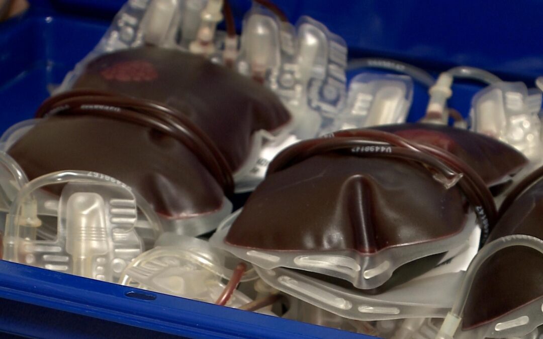 Posto de coleta de sangue de Itapetininga realiza cerca de 300 coletas por mês