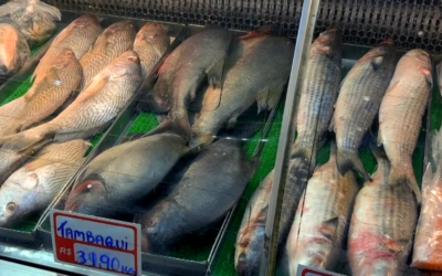 Fiscalização é intensificada em feiras e peixarias de Sorocaba durante período antes da Páscoa