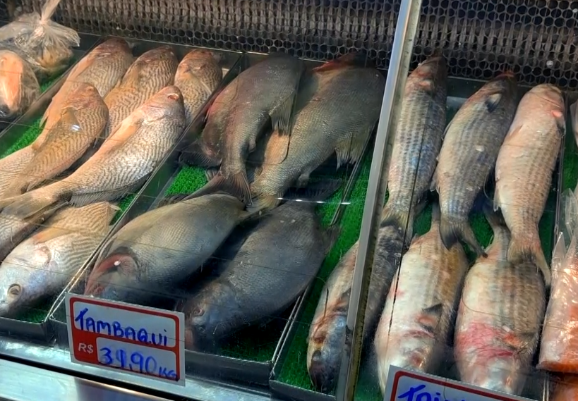 Fiscalização é intensificada em feiras e peixarias de Sorocaba durante período antes da Páscoa