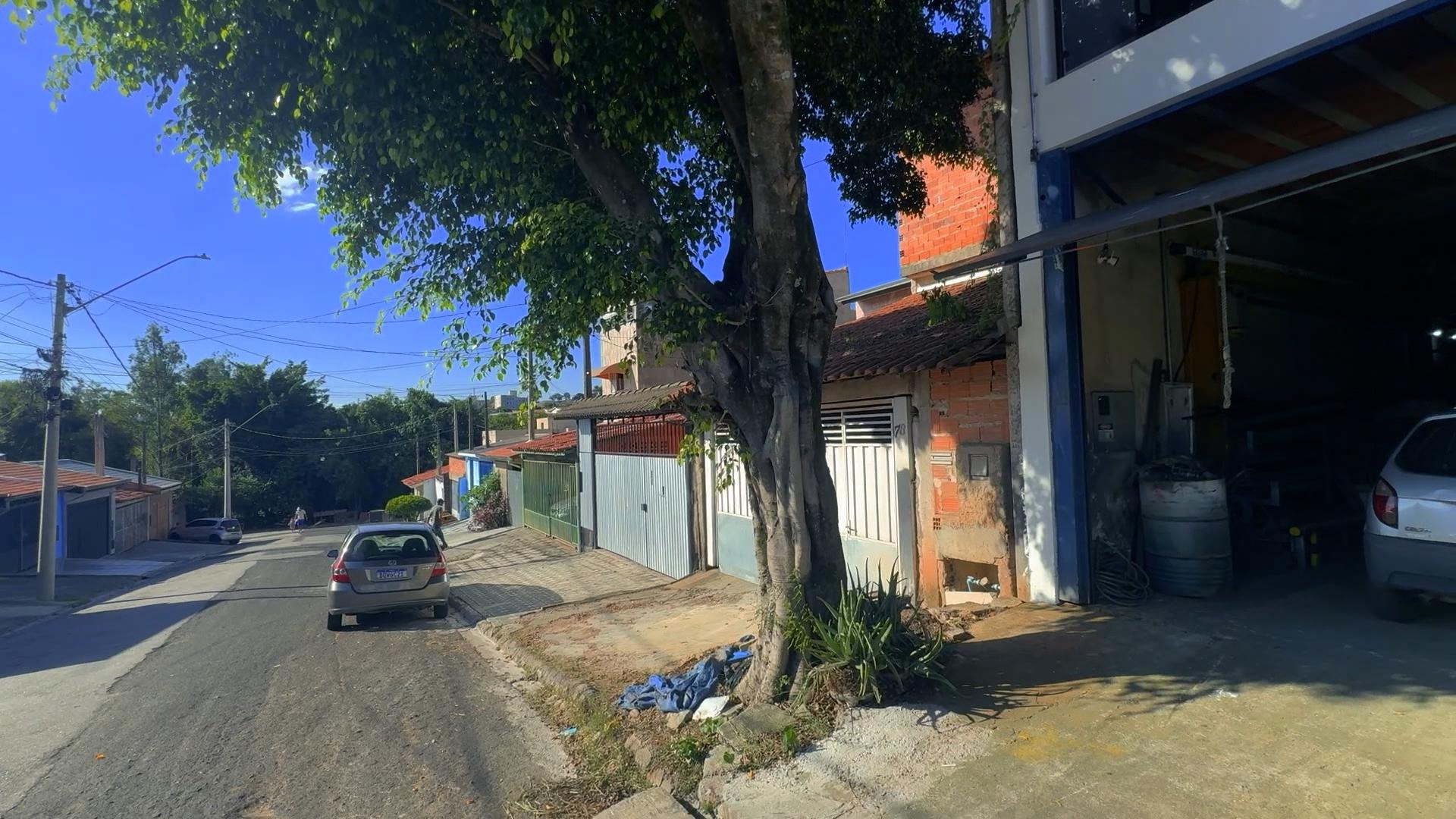 Moradores denunciam risco causado por &aacute;rvore no Ipanema Ville, em Sorocaba