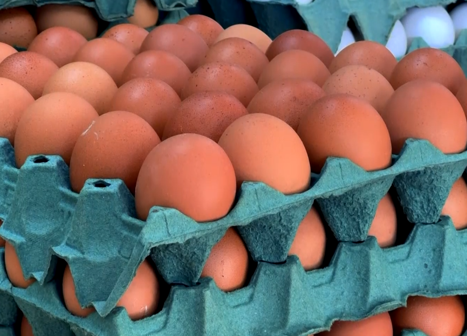 Procura por ovos cresce na Quaresma e produto segue mais barato que em 2025