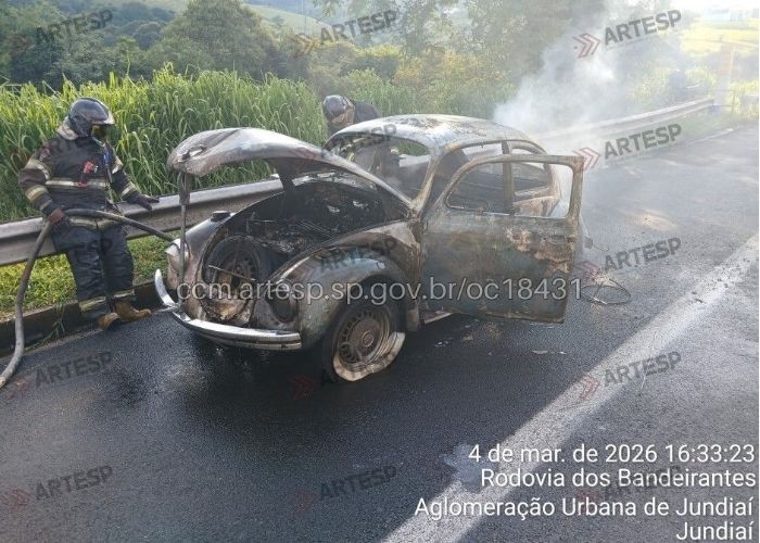 Imagem de um bombeiro apagando o inc&ecirc;ndio no carro
