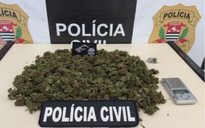 Homem é preso com maconha “in natura” em Araçoiaba da Serra