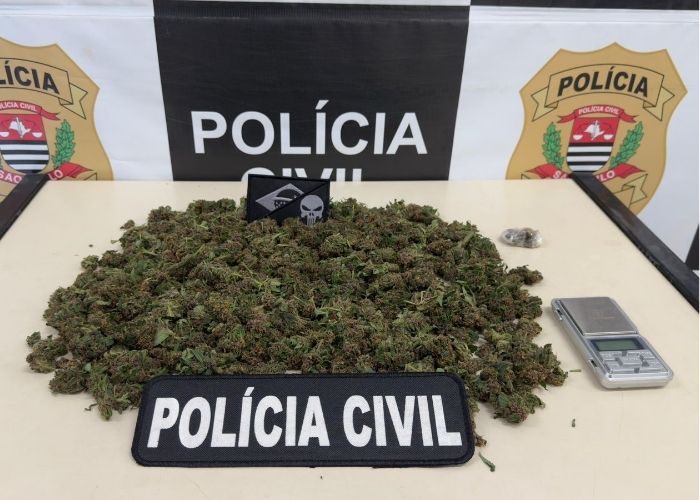 Imagem da apreens&atilde;o de drogas