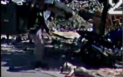 Câmeras flagram homem arrastando pitbull e jogando animal em lixeira em Sorocaba