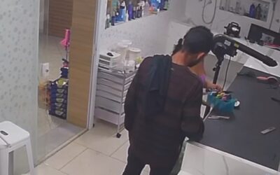 Casal é detido após furtar pet shop em Sorocaba