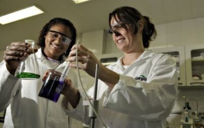 Cargill abre inscrições para Programa de Estágio com vagas em Mairinque e outras cidades