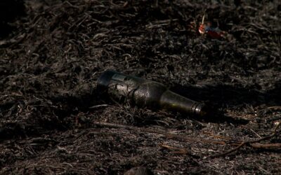 Moradores do Wanel Ville III denunciam terreno abandonado com queimadas e escorpiões