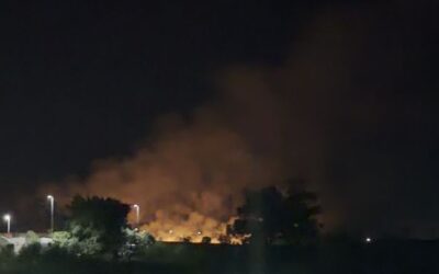 Incêndio em área de mata chama atenção às margens da Castello Branco em Boituva