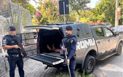 GCM presta apoio a vítimas de violência doméstica no Brigadeiro