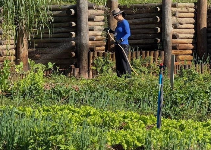 Jundiaí abre inscrições para curso gratuito de hortas urbanas