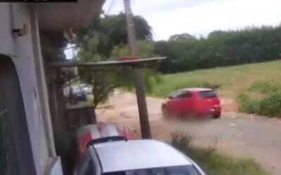Cachorro é atropelado em Araçoiaba da Serra; motorista fugiu sem prestar socorro