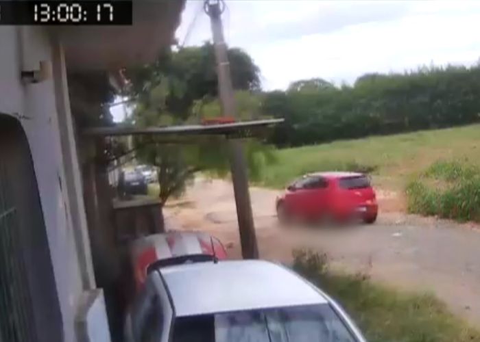 Cachorro é atropelado em Araçoiaba da Serra; motorista fugiu sem prestar socorro