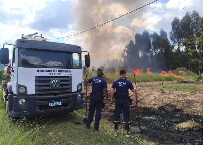 Incêndio em plantação de pinus mobiliza GCM em Buri