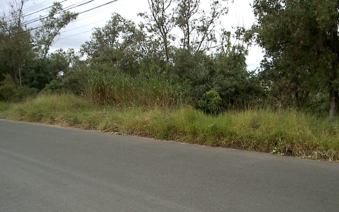 Moradores denunciam mato alto e falta de conservação, em Votorantim
