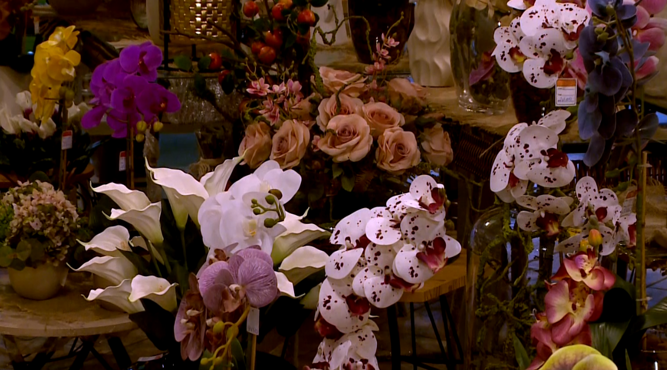 Flores expostas.