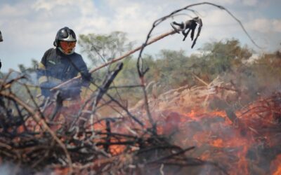 Polícia Militar Ambiental inicia operação para prevenção de queimadas