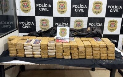 Homem é preso com 146 tijolos de cocaína camuflados com esterco e naftalina em São Roque