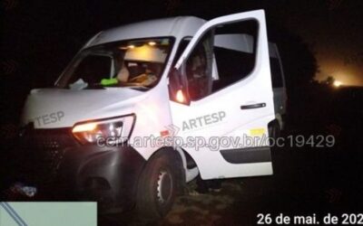 Cavalo morre após ser atropelado por van em Porangaba