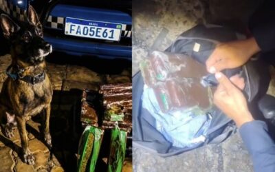 Mulher é detida com mais de 12 quilos de drogas em ônibus interestadual em Itararé