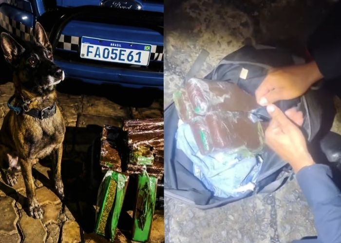 Mulher é detida com mais de 12 quilos de drogas em ônibus interestadual em Itararé