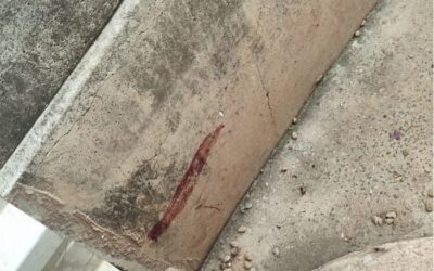 Suspeito é preso após jogar cães feridos no lixo em Laranjal Paulista