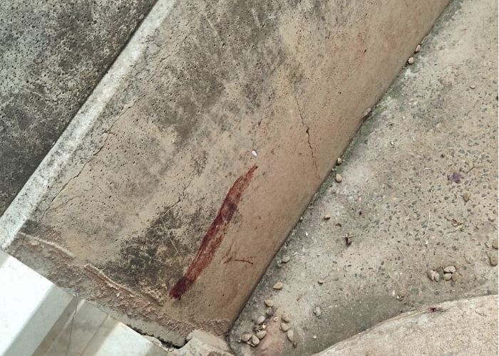 Suspeito é preso após jogar cães feridos no lixo em Laranjal Paulista