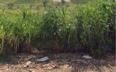 Homem é preso suspeito de matar companheira em Itu e abandonar corpo em rodovia de Campinas