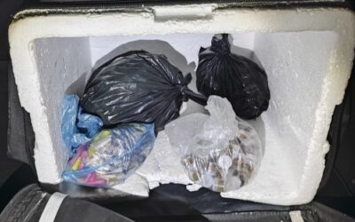Mais de 1,1 mil porções de drogas são apreendidas em Sorocaba