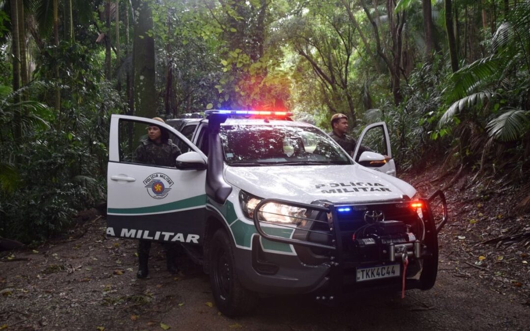 Polícia de SP intensifica o combate a crimes ambientais em todo o Estado
