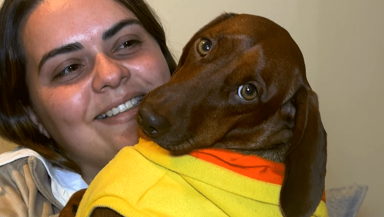 Imagem de mulher com seu cachorro no colo.
