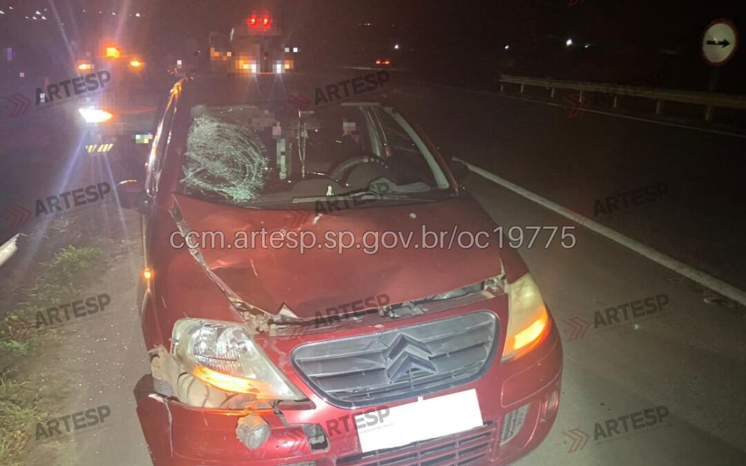 Ciclista morre após atropelamento na Rodovia Antônio Romano Schincariol em Cerquilho