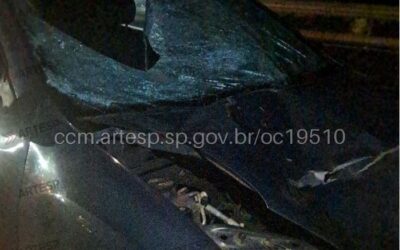 Atropelamento deixa pedestre morto em rodovia de Paranapanema