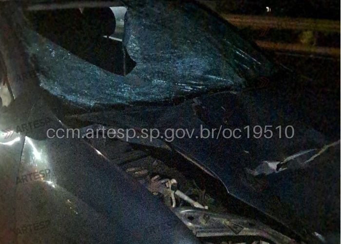 Atropelamento deixa pedestre morto em rodovia de Paranapanema